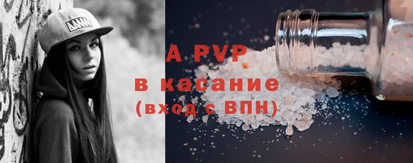 шишки Горно-Алтайск