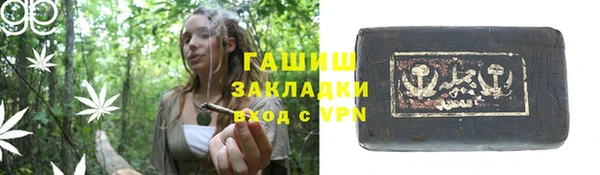 шишки Горно-Алтайск