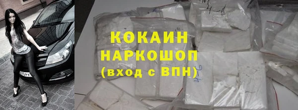 шишки Горно-Алтайск