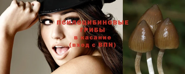 mdpv Горняк