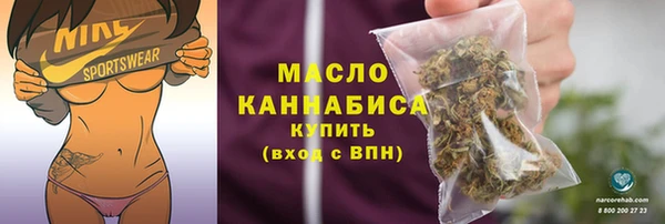 шишки Горно-Алтайск