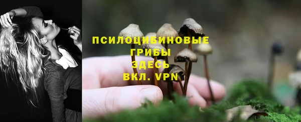 mdpv Горняк