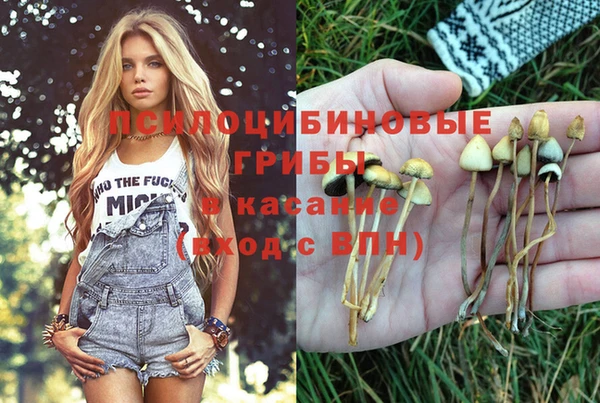 шишки Горно-Алтайск