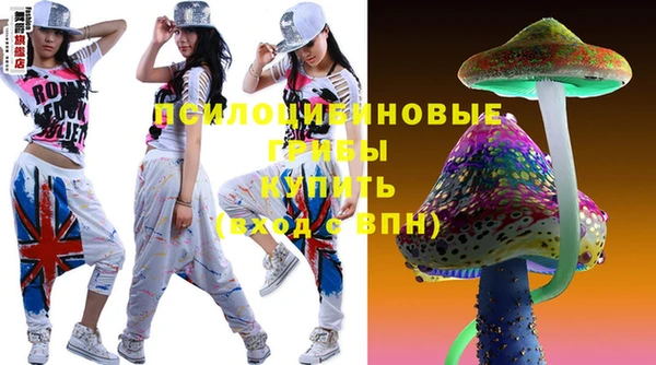 mdpv Горняк