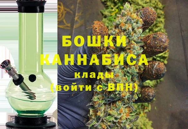 шишки Горно-Алтайск