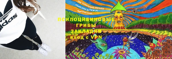 мескалин Горнозаводск