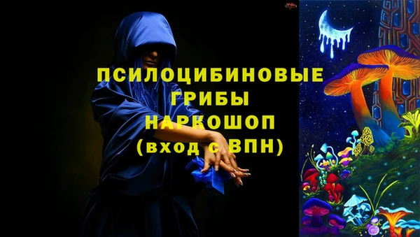 mdpv Горняк