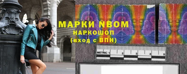 шишки Горно-Алтайск